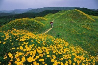 Bullo-dong Ancient Tomb