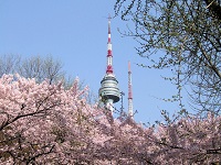 Namsan Park