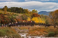 Mungyeong Saejae Provincial Park