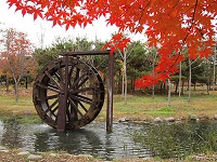 Hanbat Arboretum