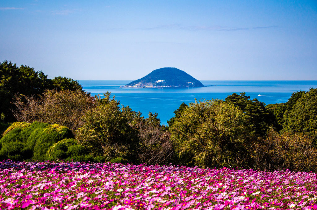 nokonoshima island