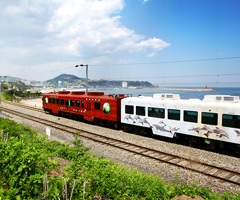 Ocean-facing Sea Train