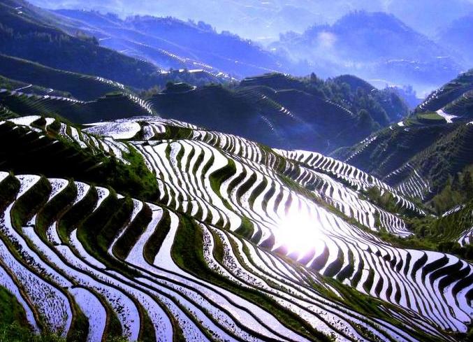 Longji Rice Terraces