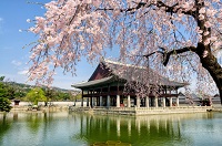 Gyeongbokgung Palace