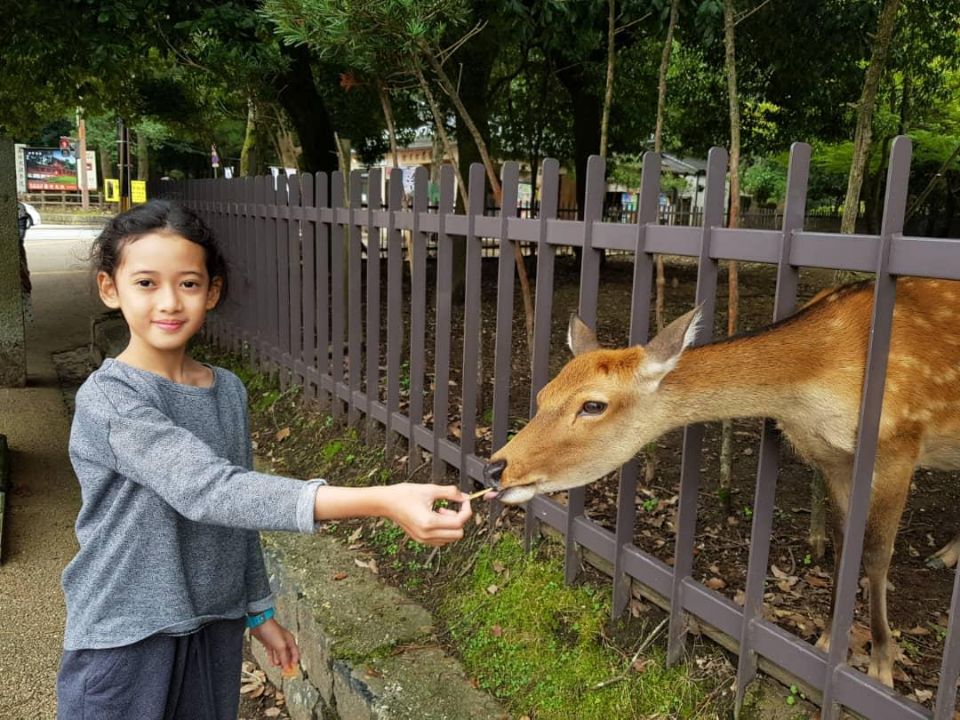 Nara Park