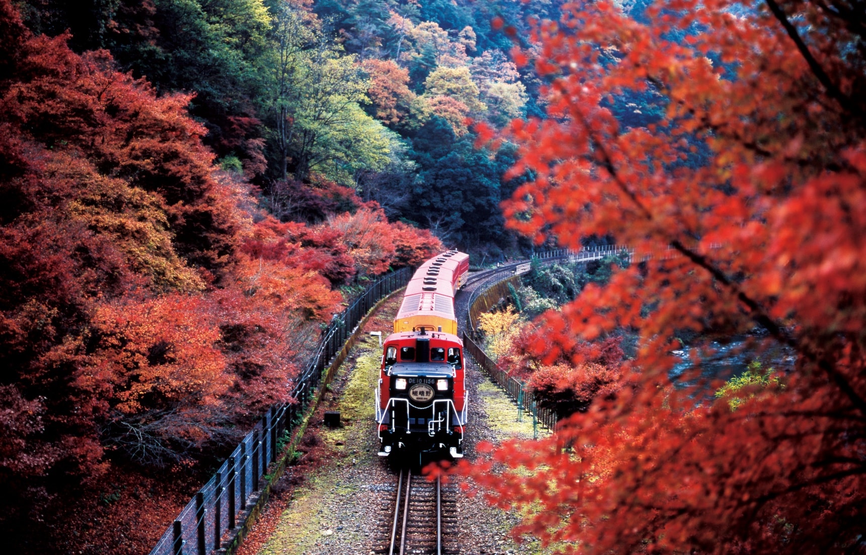 Arashiyama