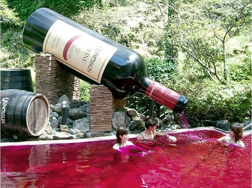 Hakone Wine Onsen