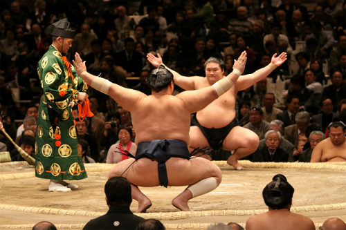 sumo