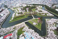 Goryokaku Park