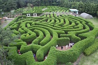 Gimnyeong Maze Park